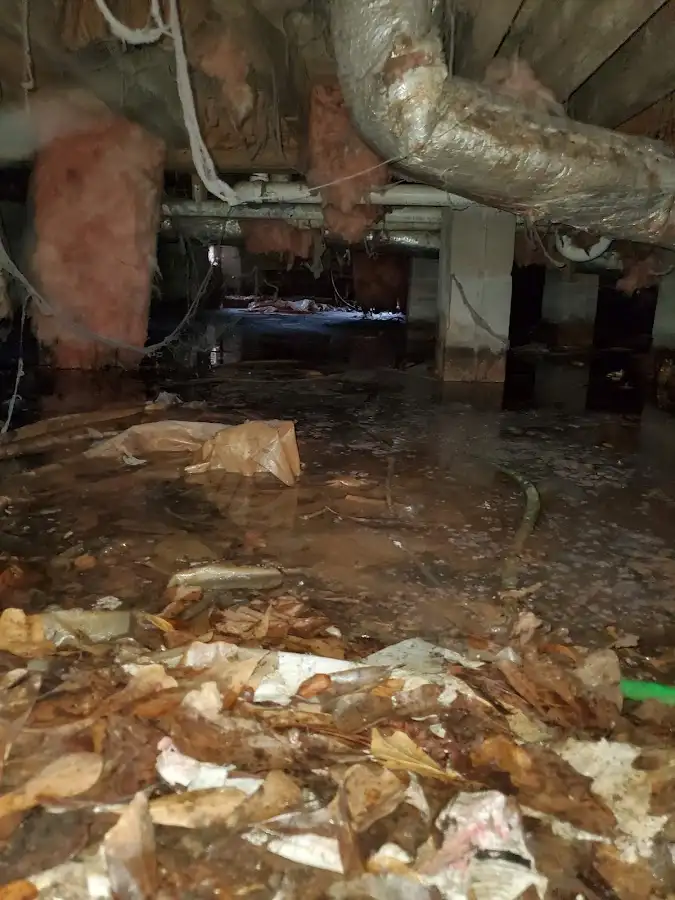 Crawl space flood assessment for Leak Detection & Repair in Oakland Park